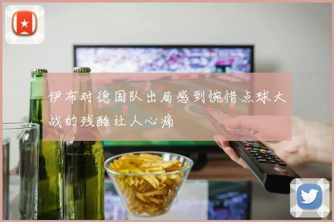 伊布对德国队出局感到惋惜点球大战的残酷让人心痛