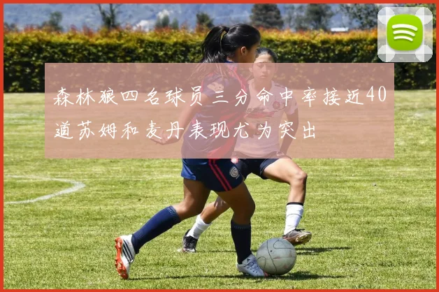 森林狼四名球员三分命中率接近40道苏姆和麦丹表现尤为突出
