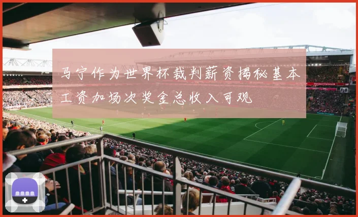 马宁作为世界杯裁判薪资揭秘基本工资加场次奖金总收入可观